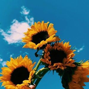 Meet your Posher, Kaylee